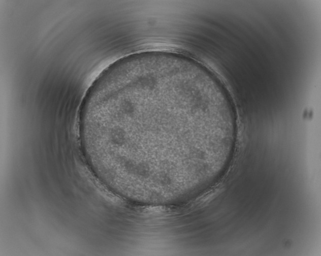 X0000110880883200907161459