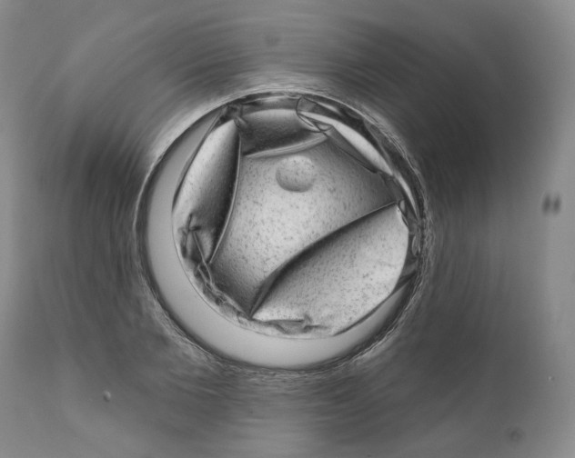 X0000110880885200907161459