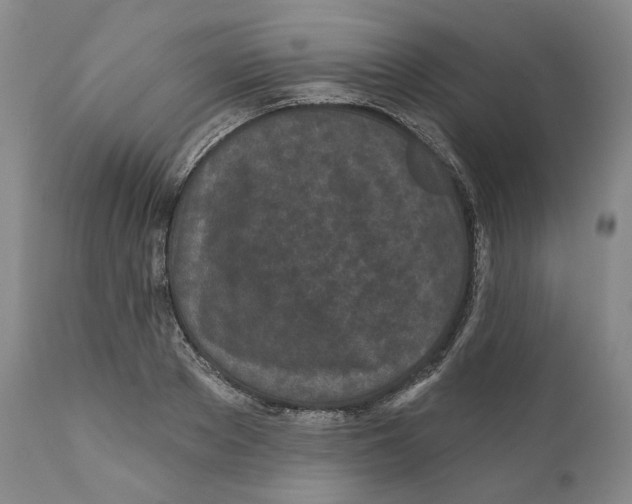 X0000110880889200907161459