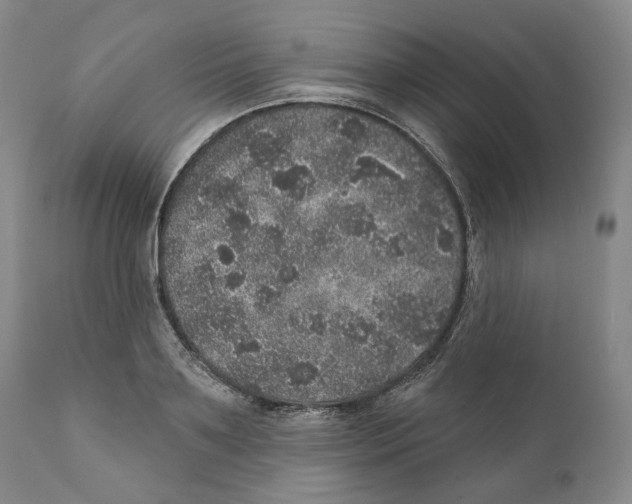 X0000110880891200907161459