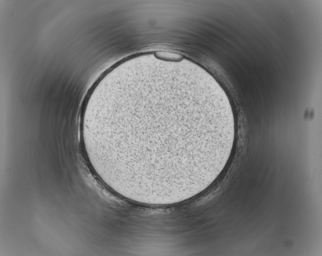 X0000110880892200907161459