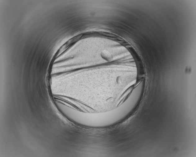 X0000110880893200907161459