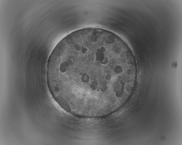 X0000110880903200907161459