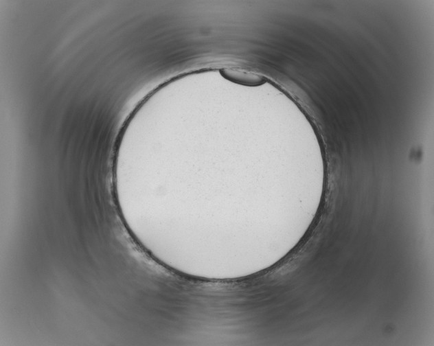 X0000110880904200907161458