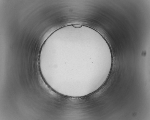 X0000110880906200907161458