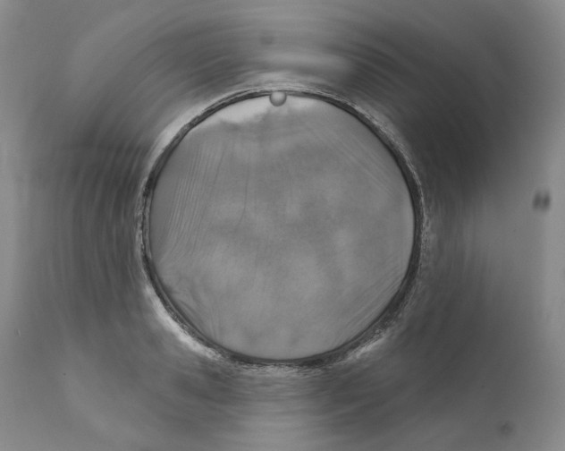 X0000110880941200907161458