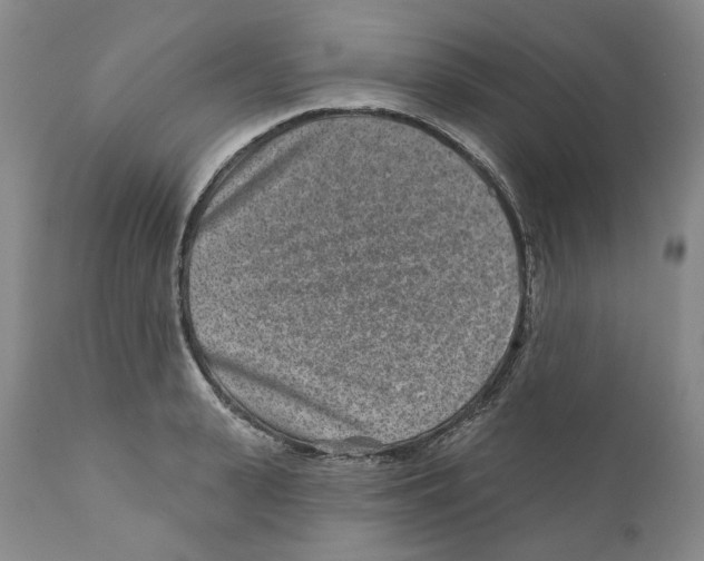 X0000110880943200907161458