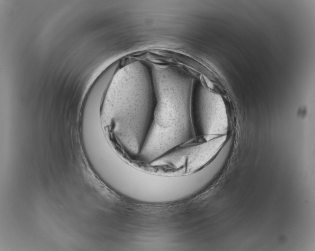 X0000110880948200907161458