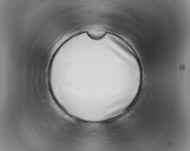 X0000110880949200907161458