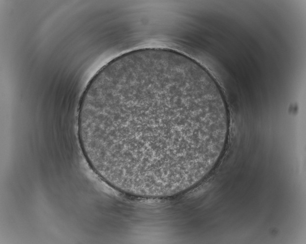 X0000110880950200907161458