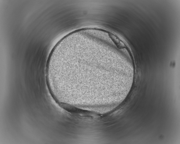 X0000110880951200907161458