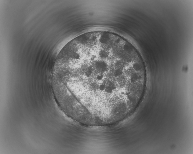 X0000110880953200907161458