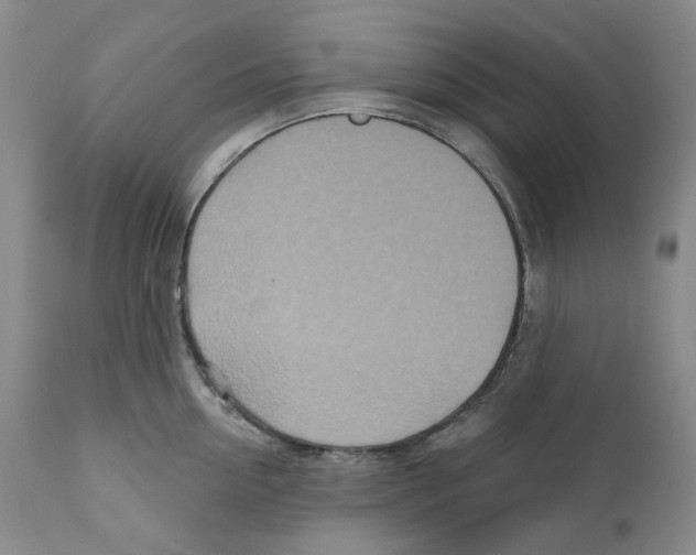 X0000110880954200907161458