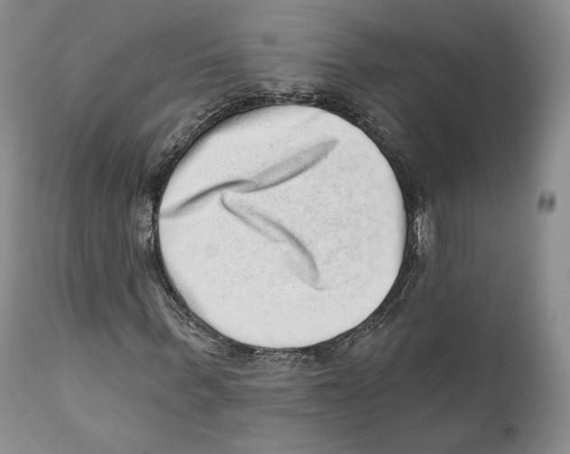 X0000110880963200907161458