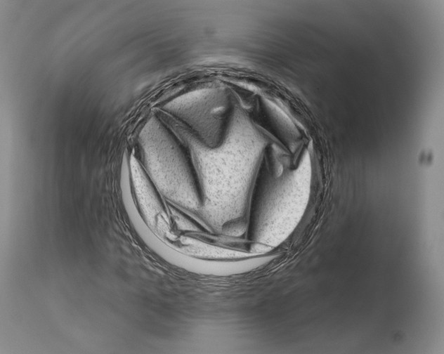 X0000110880965200907161457