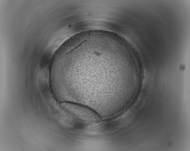 X0000110880969200907161457