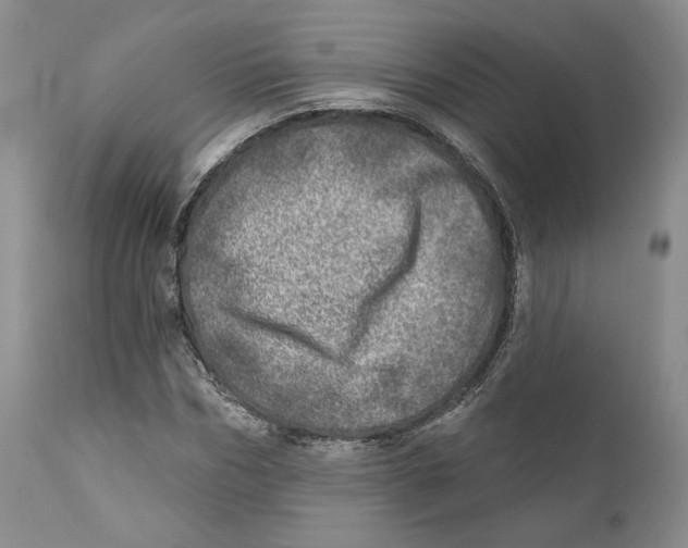 X0000110880970200907161457