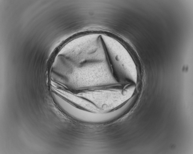 X0000110880973200907161457