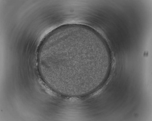 X0000110880974200907161457