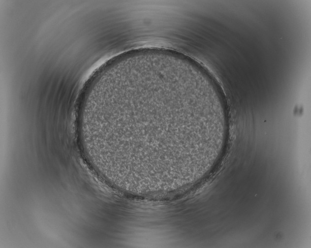 X0000110880975200907161457