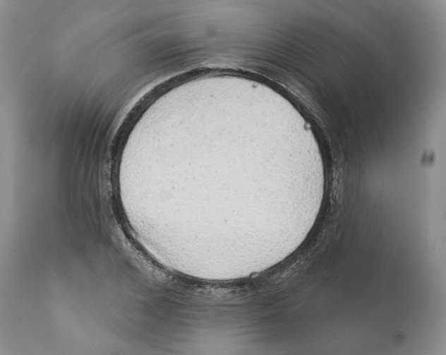 X0000110880976200907161457