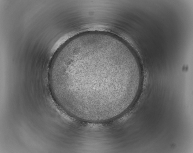 X0000110880978200907161457