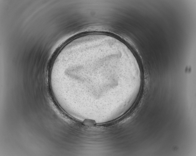 X0000110880981200907161457