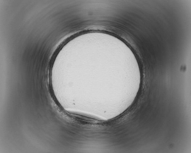 X0000110880984200907161457