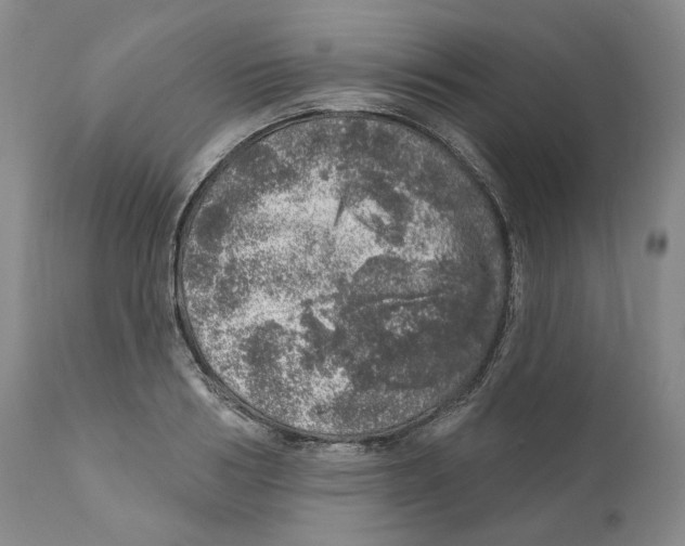 X0000110880986200907161457