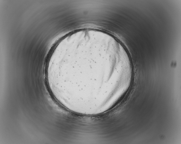 X0000110880987200907161457