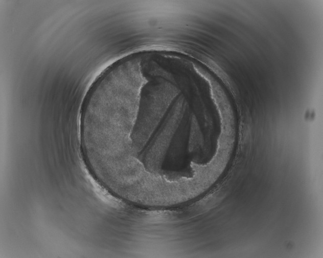 X0000110880988200907161457