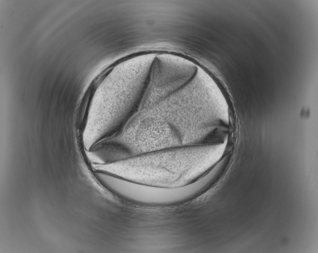 X0000110880989200907161457