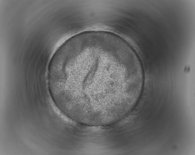 X0000110880990200907161457