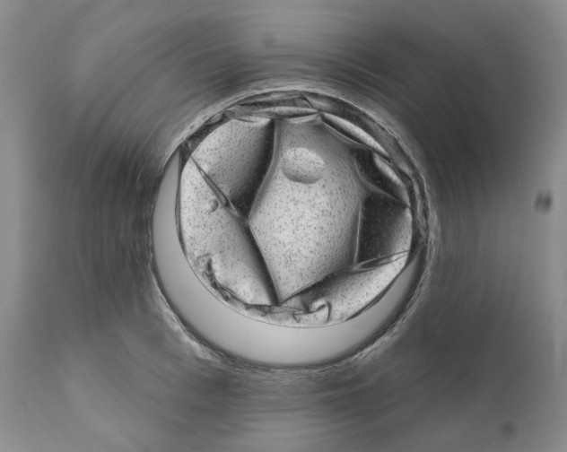 X0000110880993200907161457