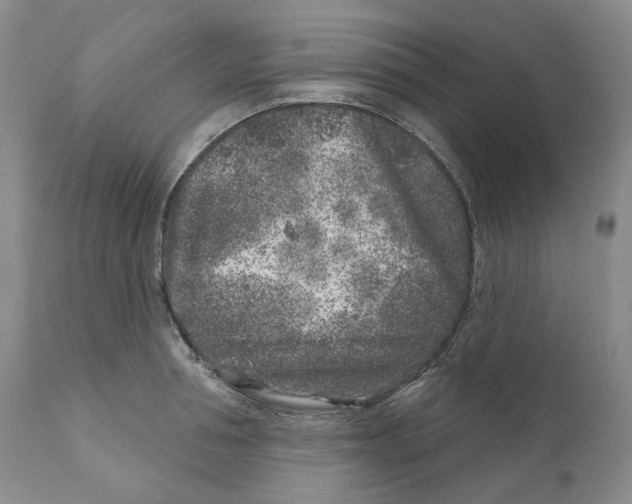 X0000110880994200907161457