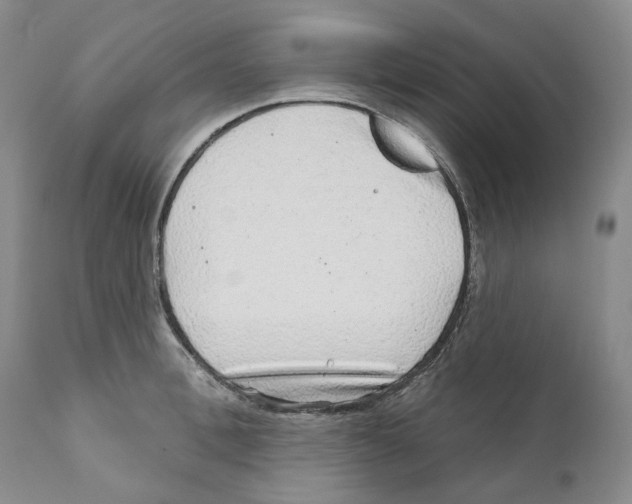 X0000110880996200907161457