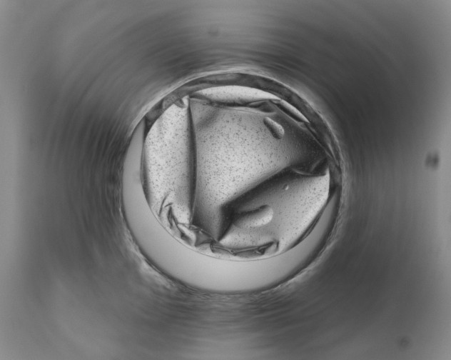 X0000110881001200907161457