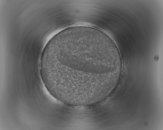 X0000110881003200907161457