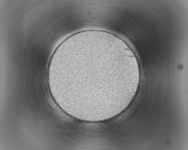 X0000110881004200907161457