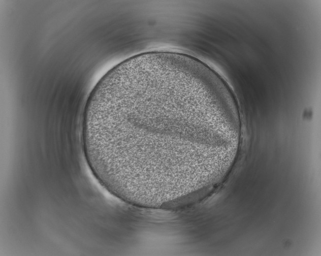 X0000110881007200907161457