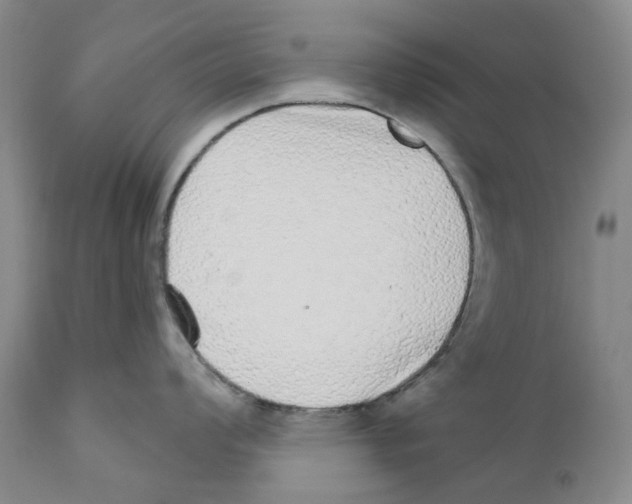 X0000110881008200907161457