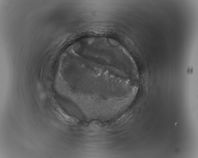 X0000110881009200907161456