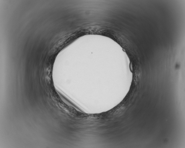 X0000110881010200907161456