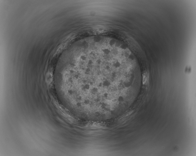 X0000110881011200907161456