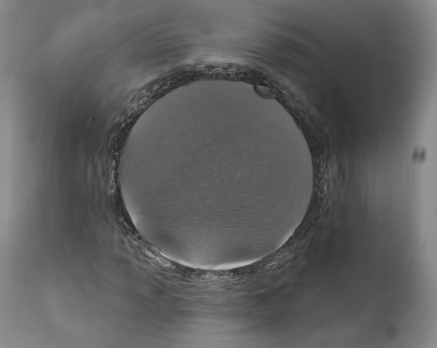 X0000110881013200907161456