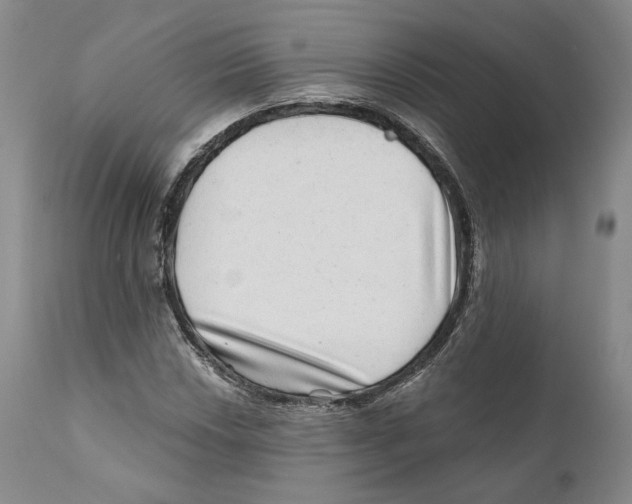 X0000110881018200907161456