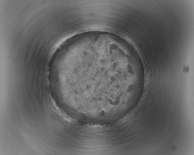 X0000110881019200907161456