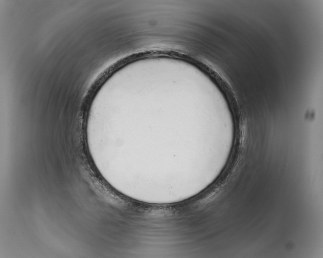 X0000110881021200907161456