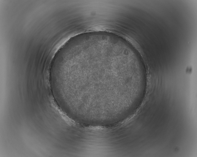 X0000110881023200907161456