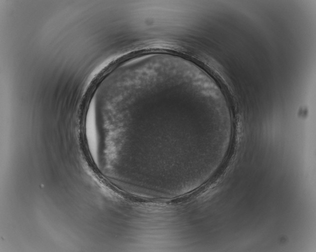 X0000110881024200907161456